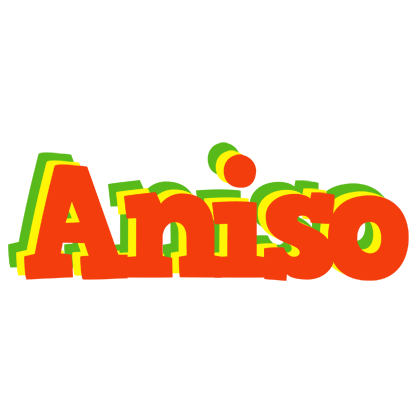 Aniso bbq logo