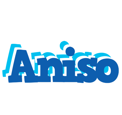 Aniso business logo