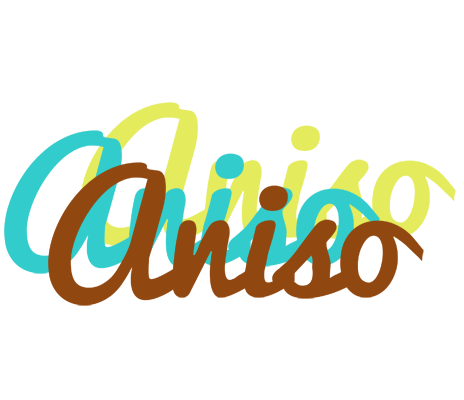 Aniso cupcake logo