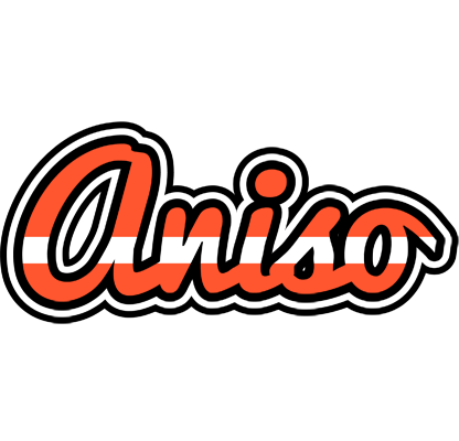 Aniso denmark logo