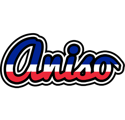 Aniso france logo