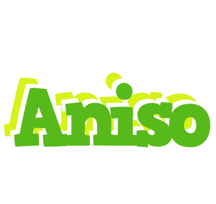 Aniso picnic logo