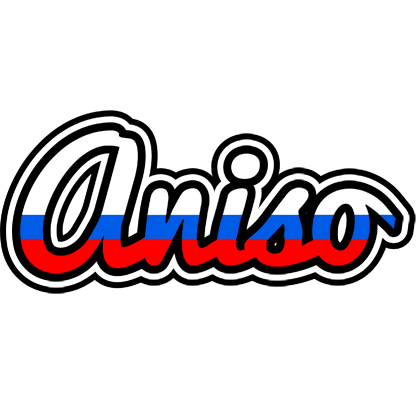 Aniso russia logo