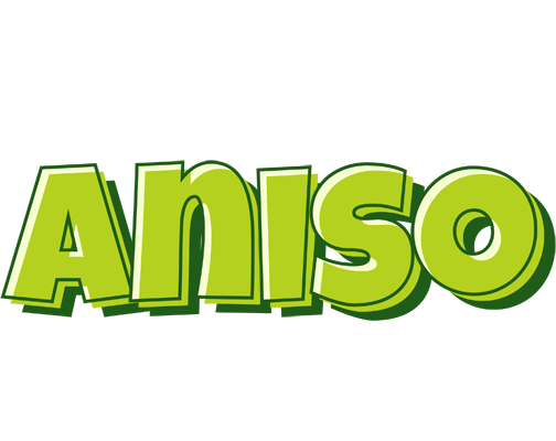 Aniso summer logo