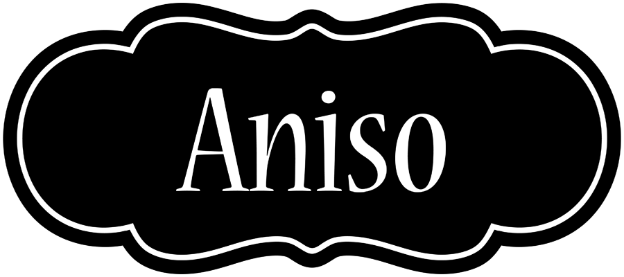 Aniso welcome logo