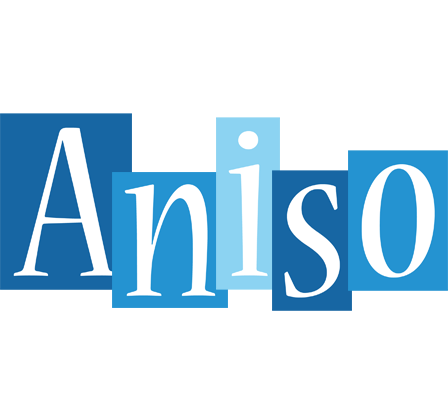 Aniso winter logo