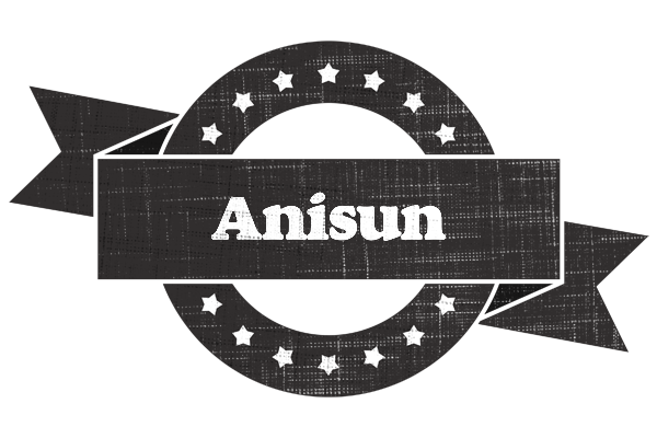 Anisun grunge logo