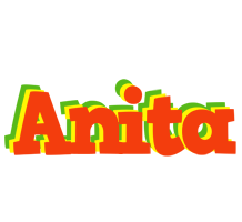 Anita bbq logo