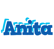 Anita business logo