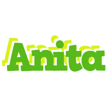 Anita picnic logo