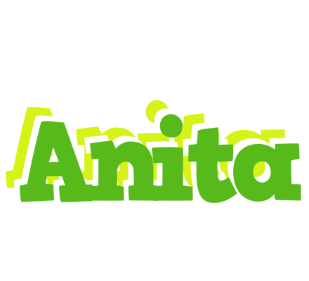 Anita picnic logo