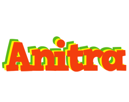 Anitra bbq logo