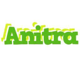 Anitra picnic logo