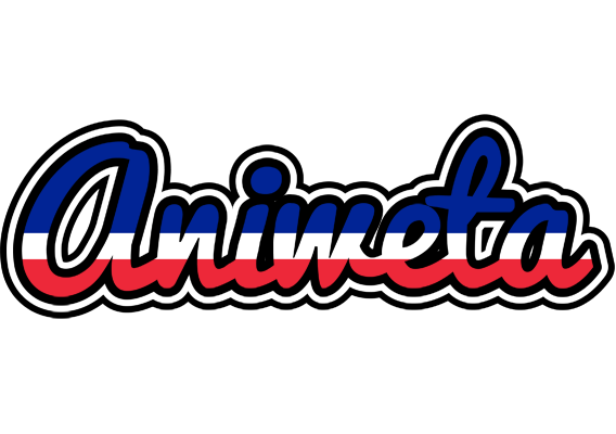 Aniweta france logo