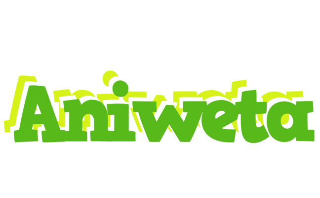 Aniweta picnic logo