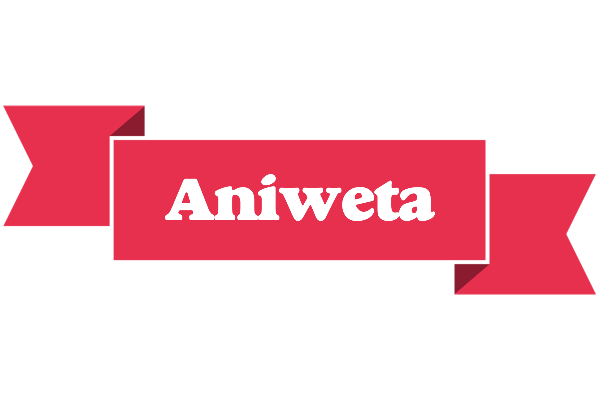 Aniweta sale logo