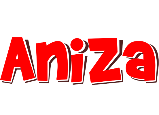 Aniza basket logo