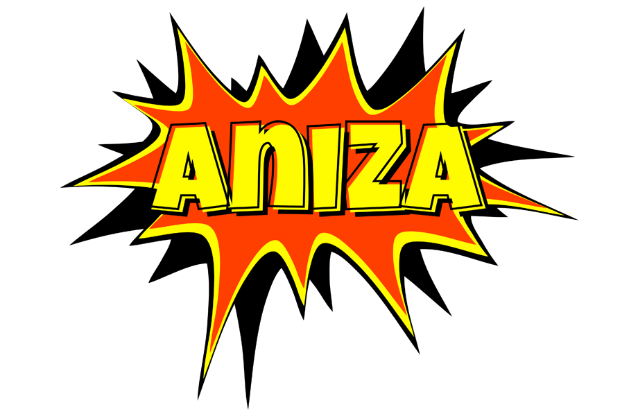 Aniza bazinga logo