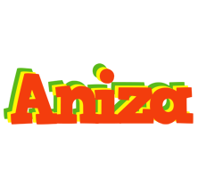 Aniza bbq logo