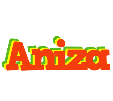 Aniza bbq logo