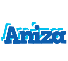 Aniza business logo