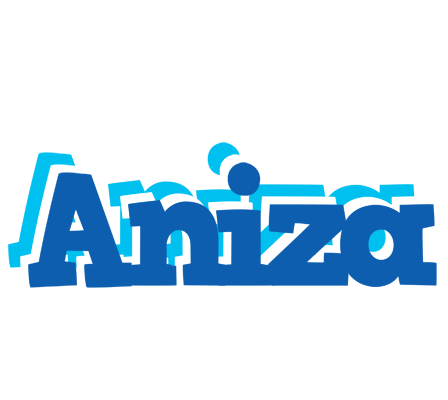 Aniza business logo