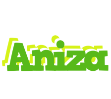 Aniza picnic logo