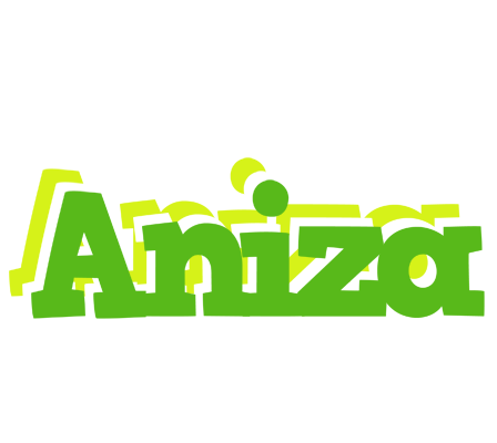 Aniza picnic logo