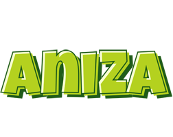 Aniza summer logo