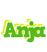 Anja picnic logo