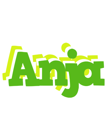 Anja picnic logo
