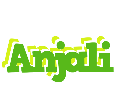 Anjali picnic logo