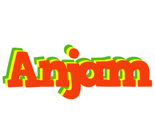 Anjam bbq logo