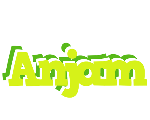 Anjam citrus logo
