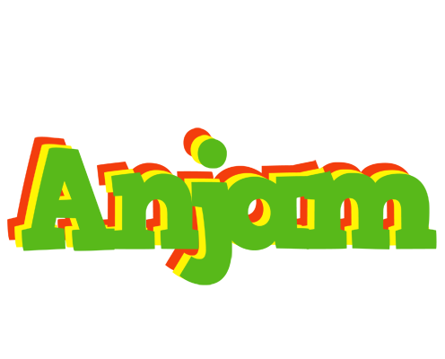 Anjam crocodile logo