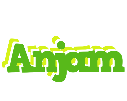 Anjam picnic logo