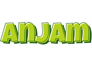 Anjam summer logo