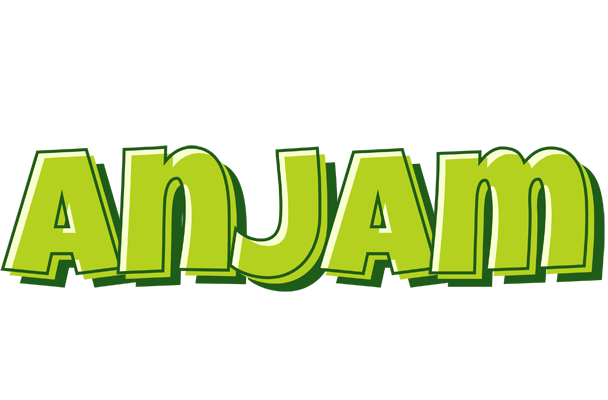 Anjam summer logo