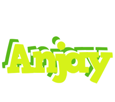 Anjay citrus logo