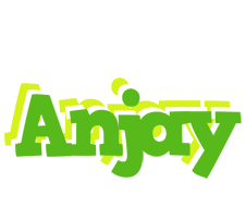 Anjay picnic logo