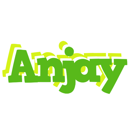 Anjay picnic logo