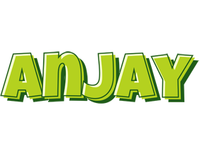 Anjay summer logo