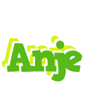 Anje picnic logo