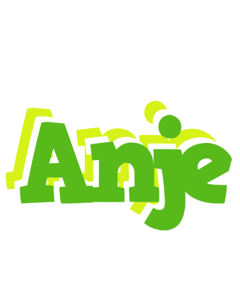 Anje picnic logo