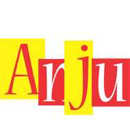 Anju errors logo