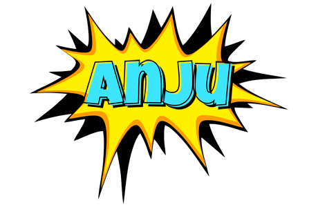 Anju indycar logo