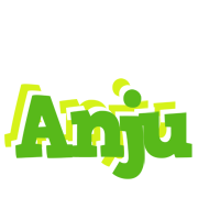 Anju picnic logo