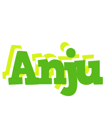 Anju picnic logo