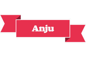 Anju sale logo