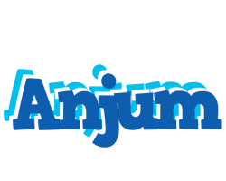 Anjum business logo